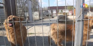 2021.04.29 – NIE BĄDŹMY OBOJĘTNI!