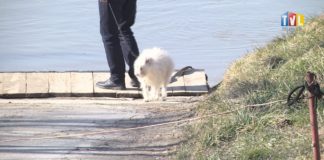 2021.04.28 – UWAGA NA KLESZCZE!