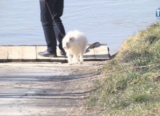 2021.04.28 – UWAGA NA KLESZCZE!