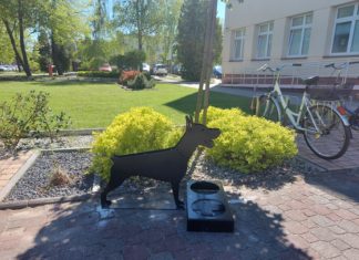 2021.05.11 – Z MYŚLĄ O SPRAGNIONYCH ZWIERZĘTACH