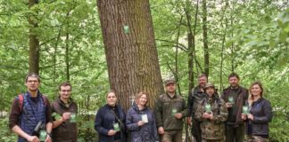2021.05.25 – 22 NOWE POMNIKI PRZYRODY W LEŚNICTWIE BERÓWKA