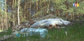 2021.05.05 – IM GŁĘBIEJ W LAS, TYM WIĘCEJ ŚMIECI