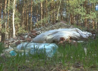 2021.05.05 – IM GŁĘBIEJ W LAS, TYM WIĘCEJ ŚMIECI