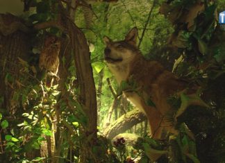 2021.05.13 – NATURALNIE GOTOWI DO DZIAŁANIA