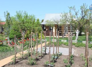 2021.05.13 – NIE DAJ SIĘ ZŁODZIEJOWI!