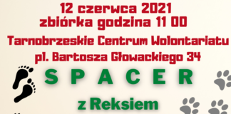 SPACER Z REKSIEM