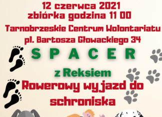 SPACER Z REKSIEM