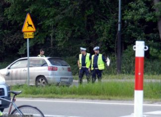 POTRĄCONO PIESZYCH NA WISŁOSTRADZIE