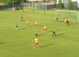 2021.06.08 – SIARKA GORSZA OD REZERW KORONY