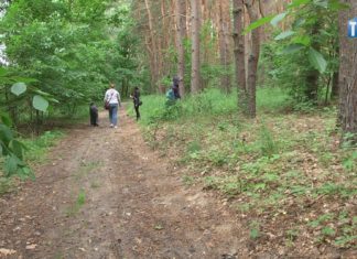 2021.06.13 – WIELKIE SPRZATANIE TARNOBRZESKIEGO LASU