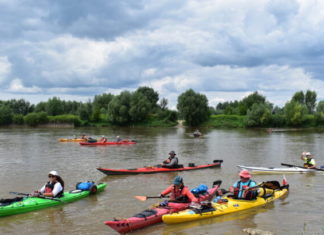 VISTULIADA W BARANOWIE SANDOMIERSKIM
