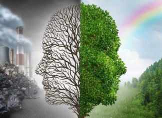 UCHWAŁA ANTYSMOGOWA DLA WOJEWÓDZTWA PODKARPACKIEGO