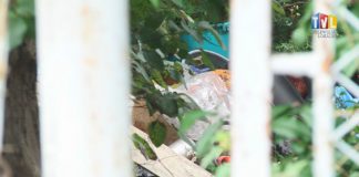 2021.08.25 – POWRÓT NA STARE ŚMIECI