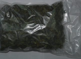 36-LATEK ODPOWIE ZA PRZESTĘPSTWA NARKOTYKOWE