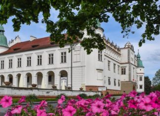 “ZAMKI PROFESORA MAJEWSKIEGO”