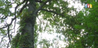 2021.09.15 – LEŚNE “JABŁKO NIEZGODY”