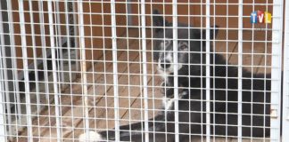 2021.09.20 – “MACHOWIACY” ZAPROSILI W SWOJE PROGI