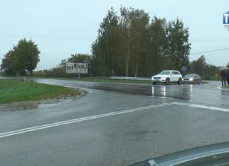 2021.10.01 – MAJĄ DOŚĆ FERALNEGO SKRZYŻOWANIA