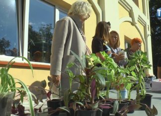 2021.10.06 – NA KWIATOWYM BAZARKU