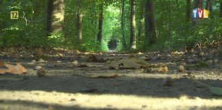 OKO REPORTERA Z DN. 19 PAŹDZIERNIKA 2021 – NA SZLAKU ZWIERZYNIECKIEGO UROCZYSKA