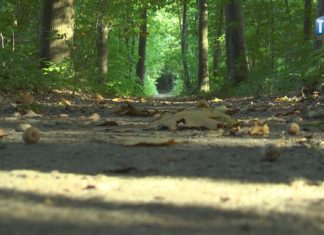 OKO REPORTERA Z DN. 19 PAŹDZIERNIKA 2021 – NA SZLAKU ZWIERZYNIECKIEGO UROCZYSKA