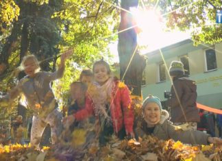 2021.10.21 – DRZEWA UBRANE NA ZIMĘ