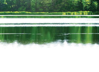 GRZEGORZ WÓJCIK. MALARSTWO