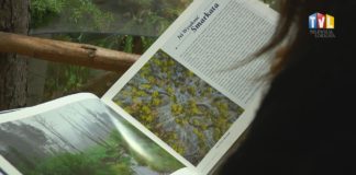 2021.11.09 – SMARKATA BOHATERKĄ PUBLIKACJI