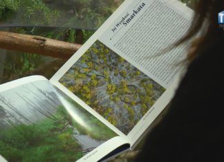 2021.11.09 – SMARKATA BOHATERKĄ PUBLIKACJI