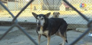 2021.11.16 – ZOSTAŃ WOLONTARIUSZEM U “MACHOWIAKÓW”