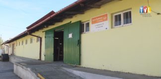 2021.11.22 – SKIEROWANIE NA POMOC ŻYWNOŚCIOWĄ