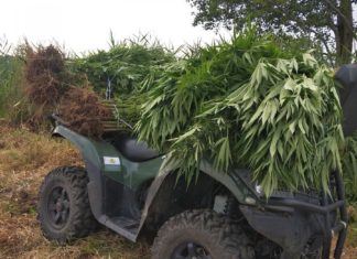 PRZESTĘPCZOŚĆ NARKOTYKOWA W 2021 ROKU