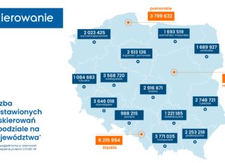 PIERWSZY ROK E-SKIEROWANIA W POLSCE
