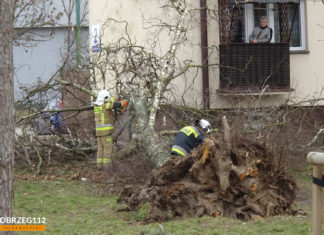 PONAD 25 INTERWENCJI STRAŻAKÓW PO WEEKENDOWYCH WICHURACH