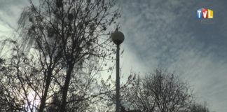 2022.02.01 – WIDNO I BEZPIECZNIE: REALIZACJA