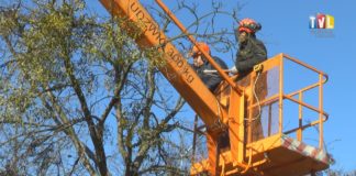 2022.02.24 – WALCZĄ Z PASOŻYTEM