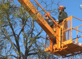 2022.02.24 – WALCZĄ Z PASOŻYTEM