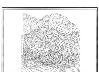 TOMASZ WIKTOR – “GLAZES/LASERUNKI”