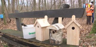 2022.02.28 – PRZYRODNICZE WYRÓWNANIE SZKÓD