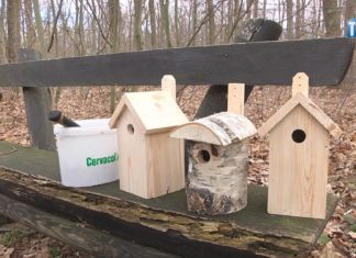 2022.02.28 – PRZYRODNICZE WYRÓWNANIE SZKÓD