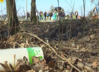 2022.03.23 – SPRZĄTANIE LASU W TEORII I PRAKTYCE