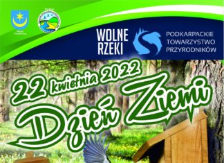 BĘDĄ ROZDAWAĆ PTASIE DOMKI