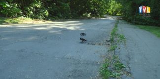 2022.05.19 – DOFINANSOWANIE NA WYCZEKIWANY REMONT