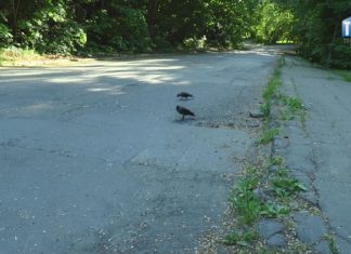 2022.05.19 – DOFINANSOWANIE NA WYCZEKIWANY REMONT