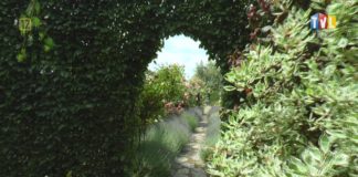 OKO REPORTERA Z DN. 19 LIPCA 2022 – CZERWCOWY SPACER PO RÓŻANYM RAJU