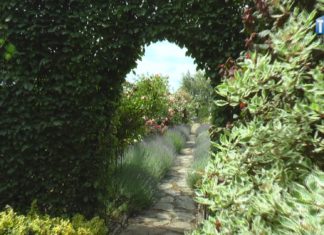 OKO REPORTERA Z DN. 19 LIPCA 2022 – CZERWCOWY SPACER PO RÓŻANYM RAJU