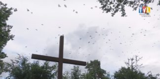 2022.07.11 – OBCHODY “KRWAWEJ NIEDZIELI”