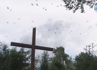 2022.07.11 – OBCHODY “KRWAWEJ NIEDZIELI”