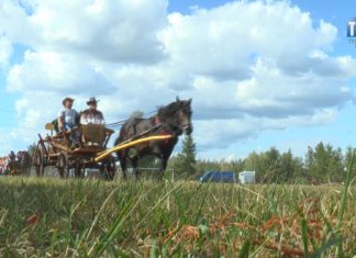 2022.07.17 – W KRÓLESTWIE FURMANEK