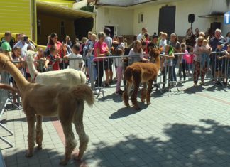 2022.07.29 – LATO Z ATRAKCJAMI